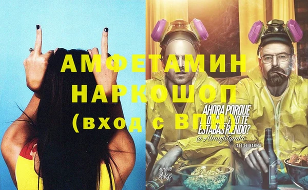 шишки Гусиноозёрск