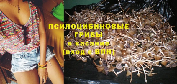 шишки Гусиноозёрск
