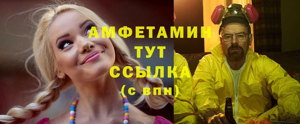 шишки Гусиноозёрск