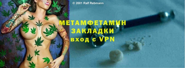 шишки Гусиноозёрск