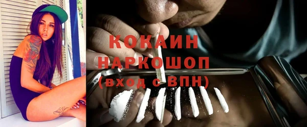 шишки Гусиноозёрск