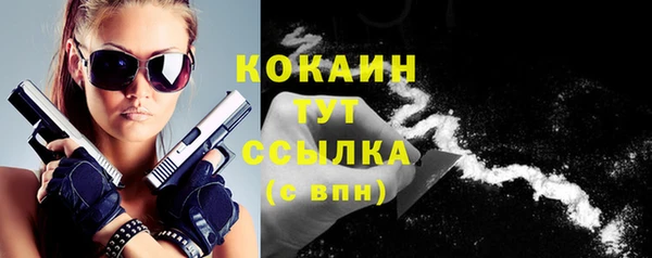 сатива Гусев