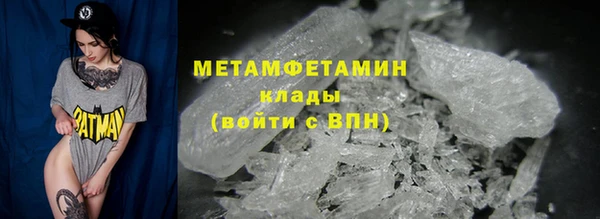 шишки Гусиноозёрск