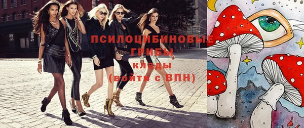 сатива Гусев