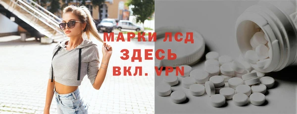шишки Гусиноозёрск