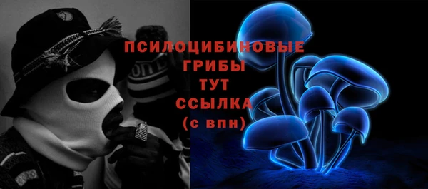дурь Гусь-Хрустальный