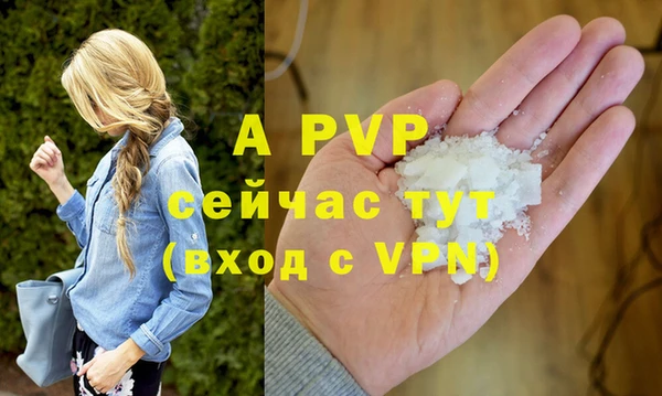 сатива Гусев