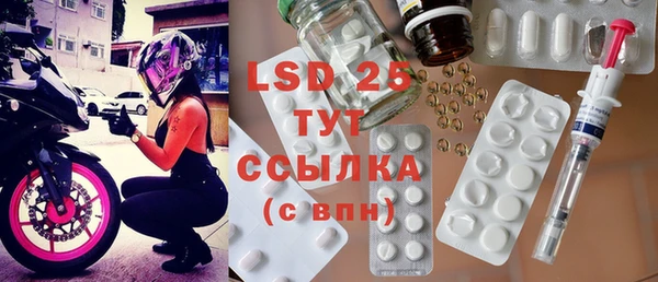 шишки Гусиноозёрск