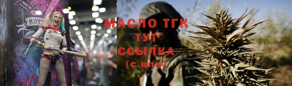шишки Гусиноозёрск