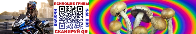 Купить закладки  Костерёво  Псилоцибиновые грибы прущие грибы 